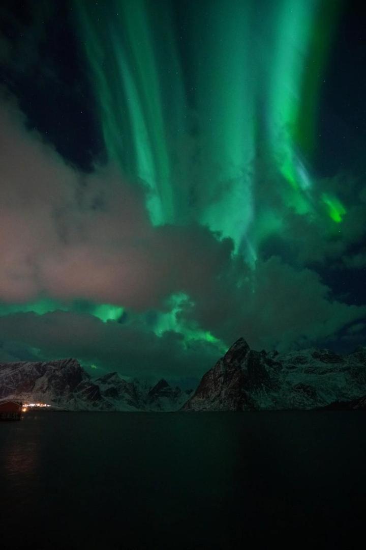 Lofoten Panoramic Luxury Home With Sauna Moskenes Dış mekan fotoğraf