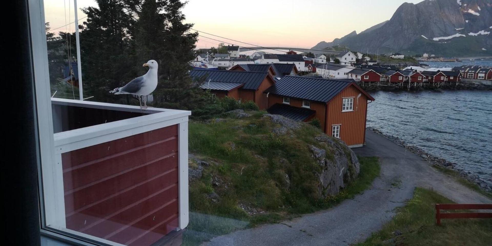 Lofoten Panoramic Luxury Home With Sauna Moskenes Dış mekan fotoğraf