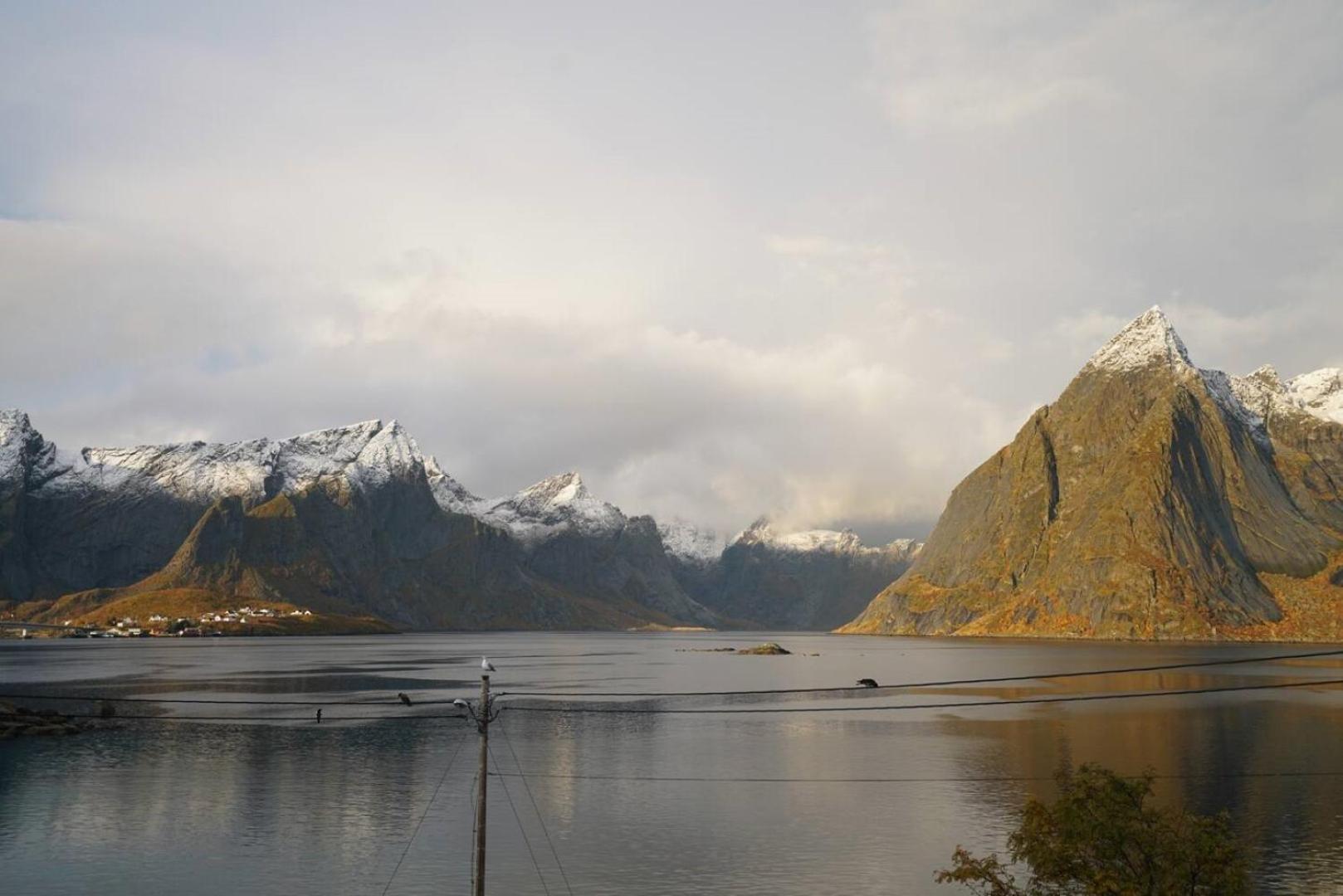 Lofoten Panoramic Luxury Home With Sauna Moskenes Dış mekan fotoğraf